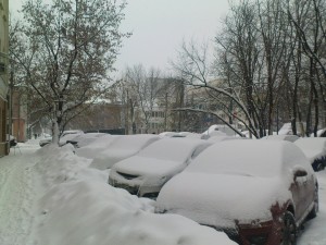 Sneg je padao celu noć i evo kako je moja ulica izgledala ranom zorom.